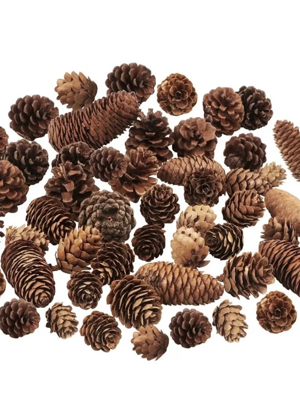 Natural Brown Pine Cone Mix for Home Holiday Decor